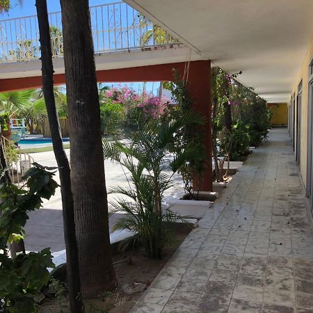 Hotel Calafia La Paz Zewnętrze zdjęcie